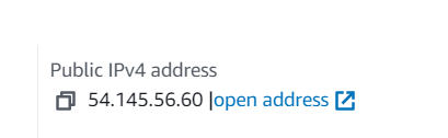 New Public IPv4 Address Assigned