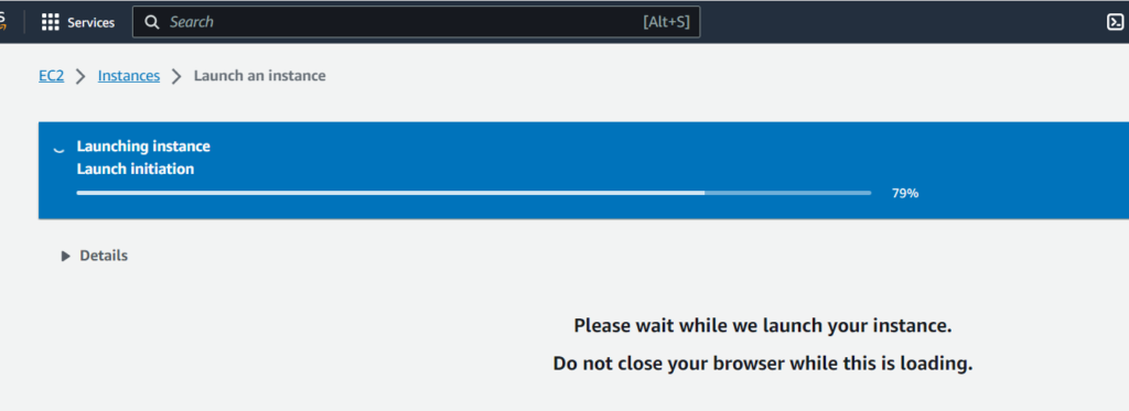 Launch the EC2 Instance