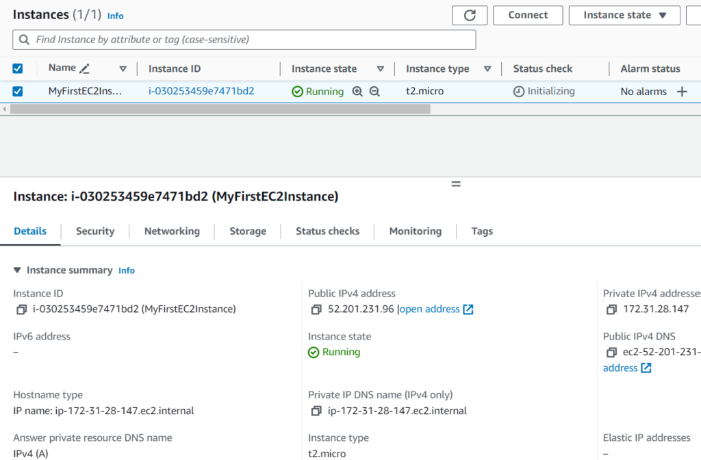 Details of the Running EC2 Instance