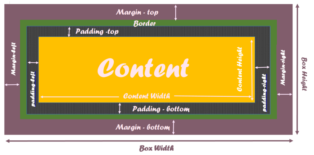 Illustration of CSS Box Model
