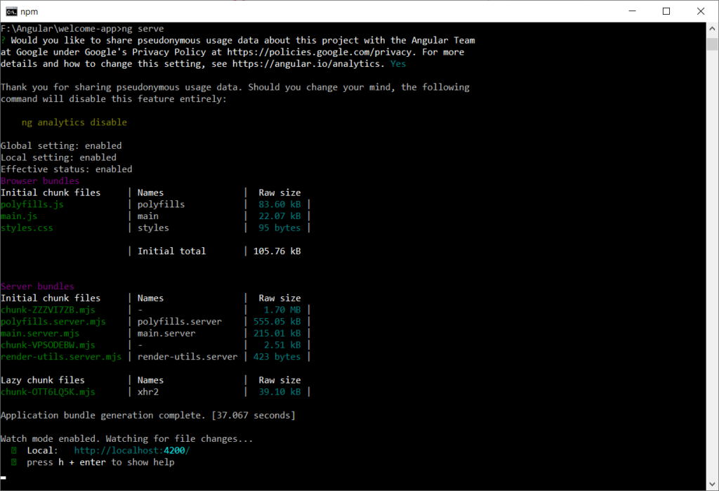 Serving the Angular App