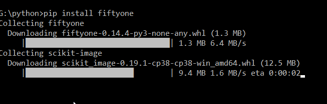 Installing FiftyOne Zoo Dataset