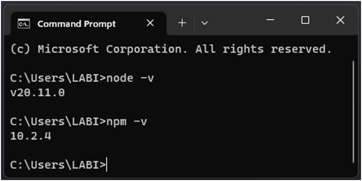 Verify the Node.js Installation